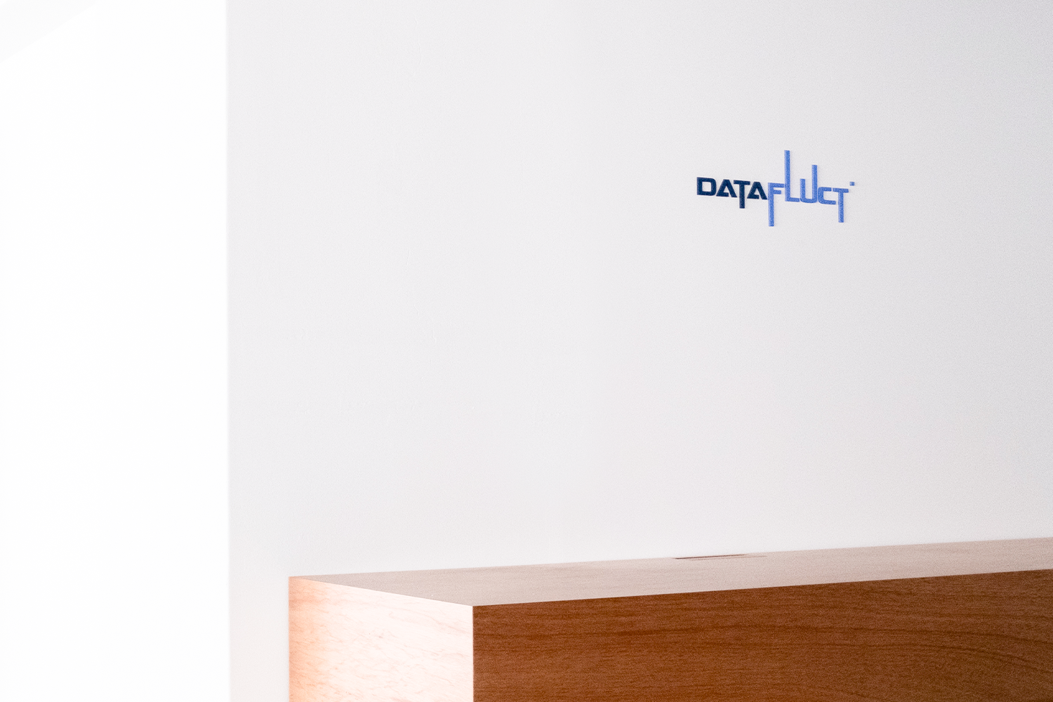 株式会社DATAFLUCT